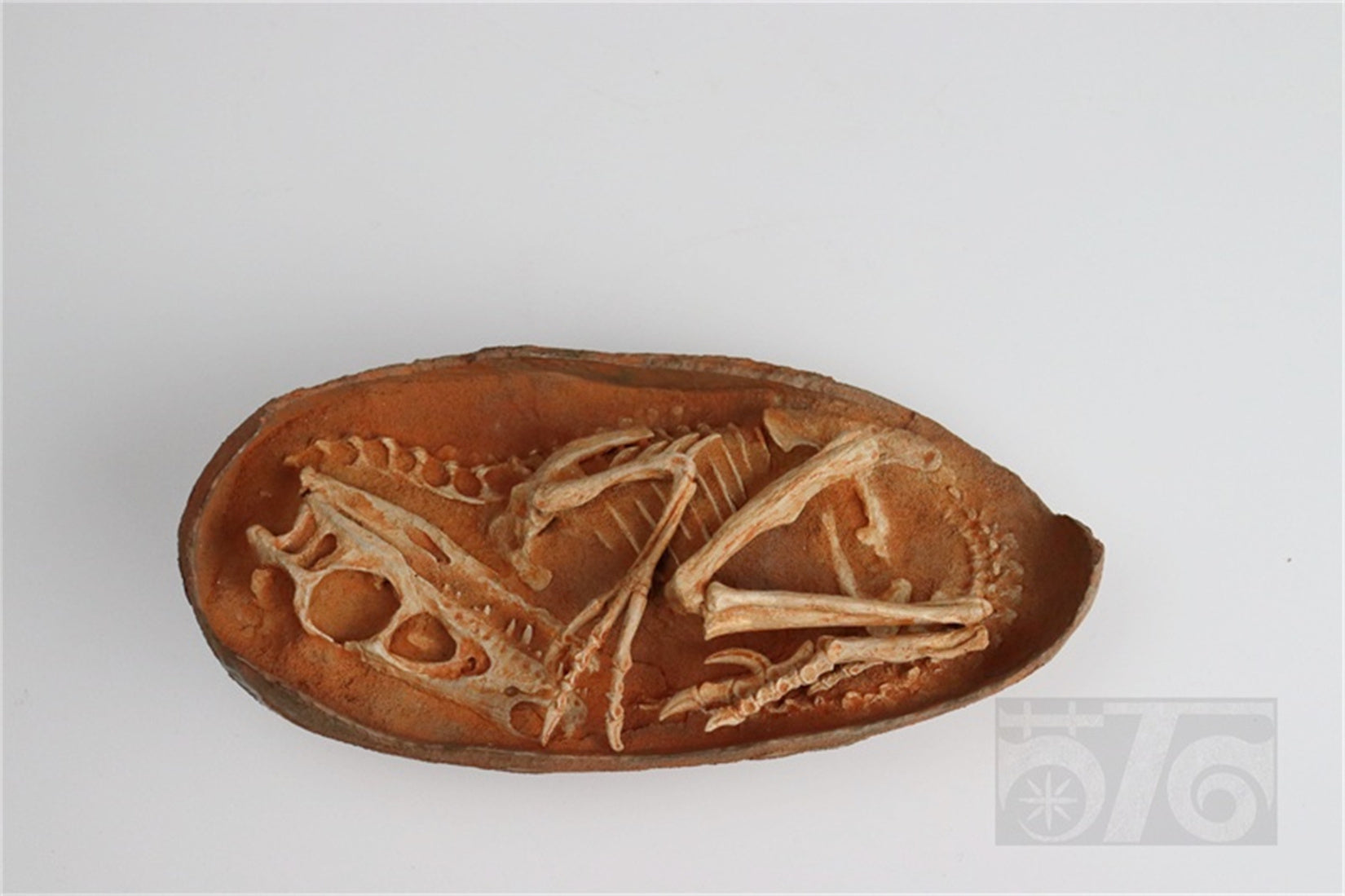 1:1 Scale Velociraptor Dinosaur Egg Model