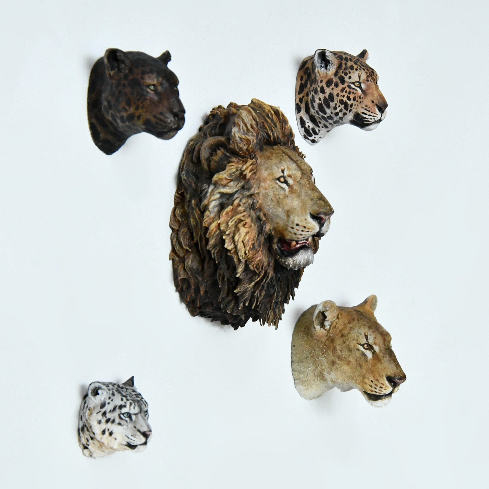 Schildkröten-Serie Tiermodell 