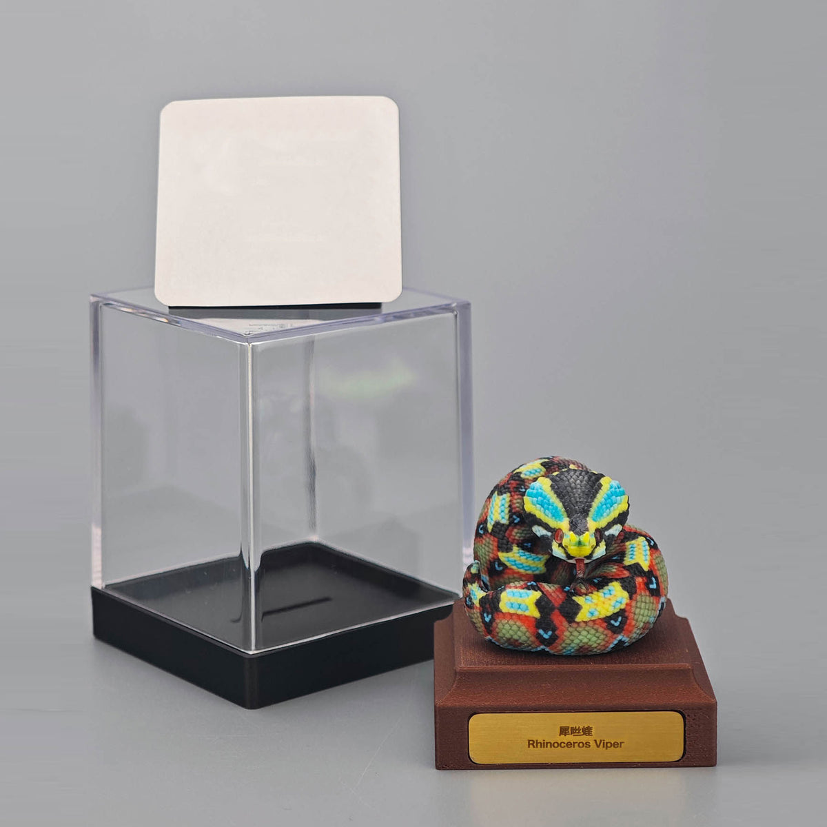 ViVid Studio Rhinoceros Viper & Gaboon Viper Model