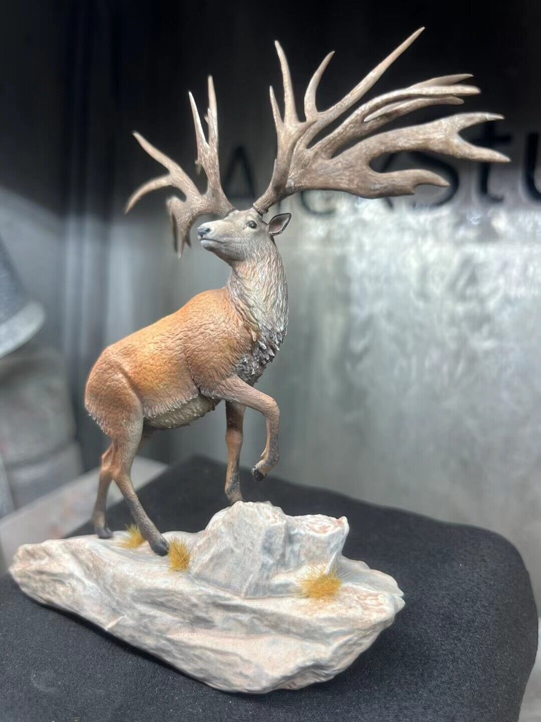 Alex Studio Eucladoceros Model