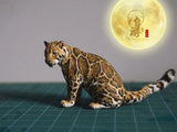 Free Exploration Clouded Leopard Model