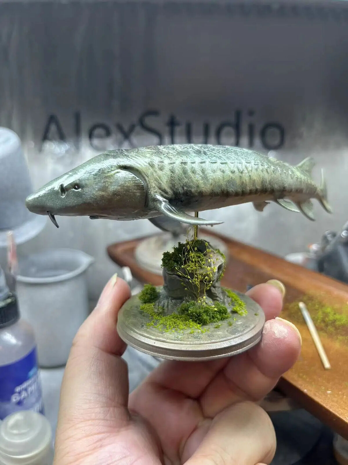 Alex Studio 1/35 Chinese Sturgeon Model
