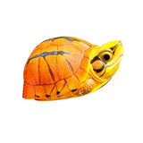 Animal Heavenly Body 19 Turtle Blind Box Model