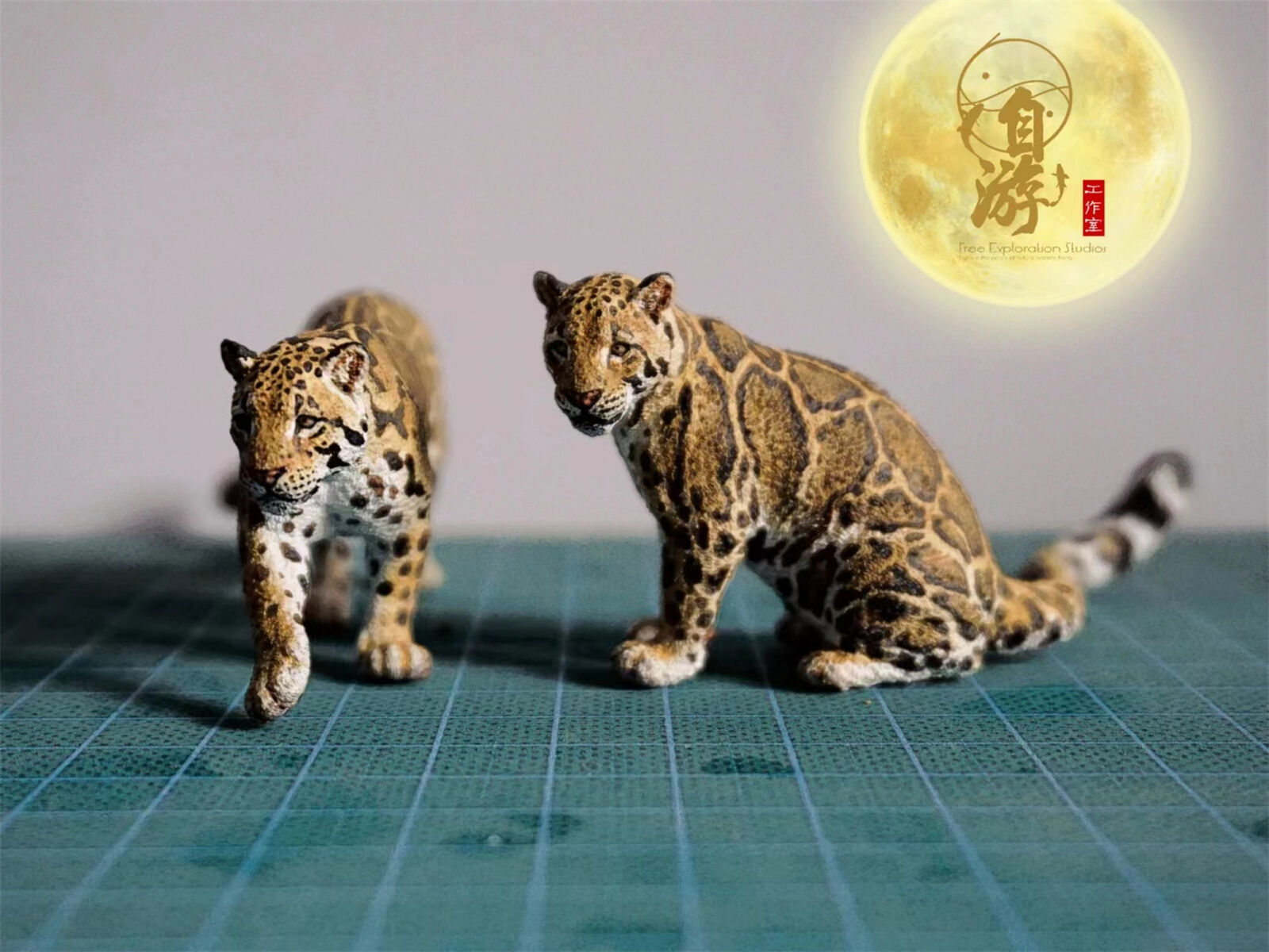 Free Exploration Clouded Leopard Model