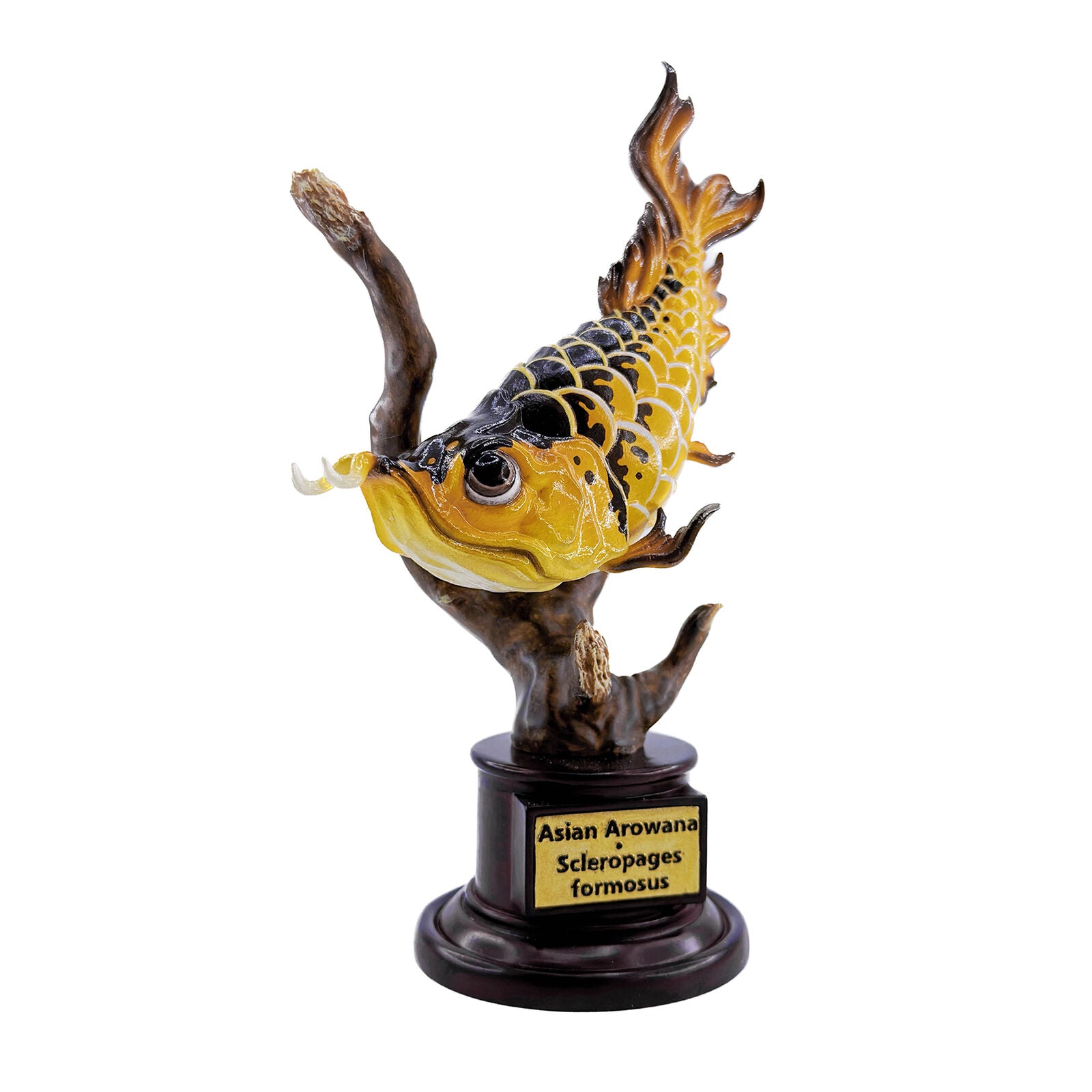 Things In The Pond Fish Blind Box Model – Lana Time Shop