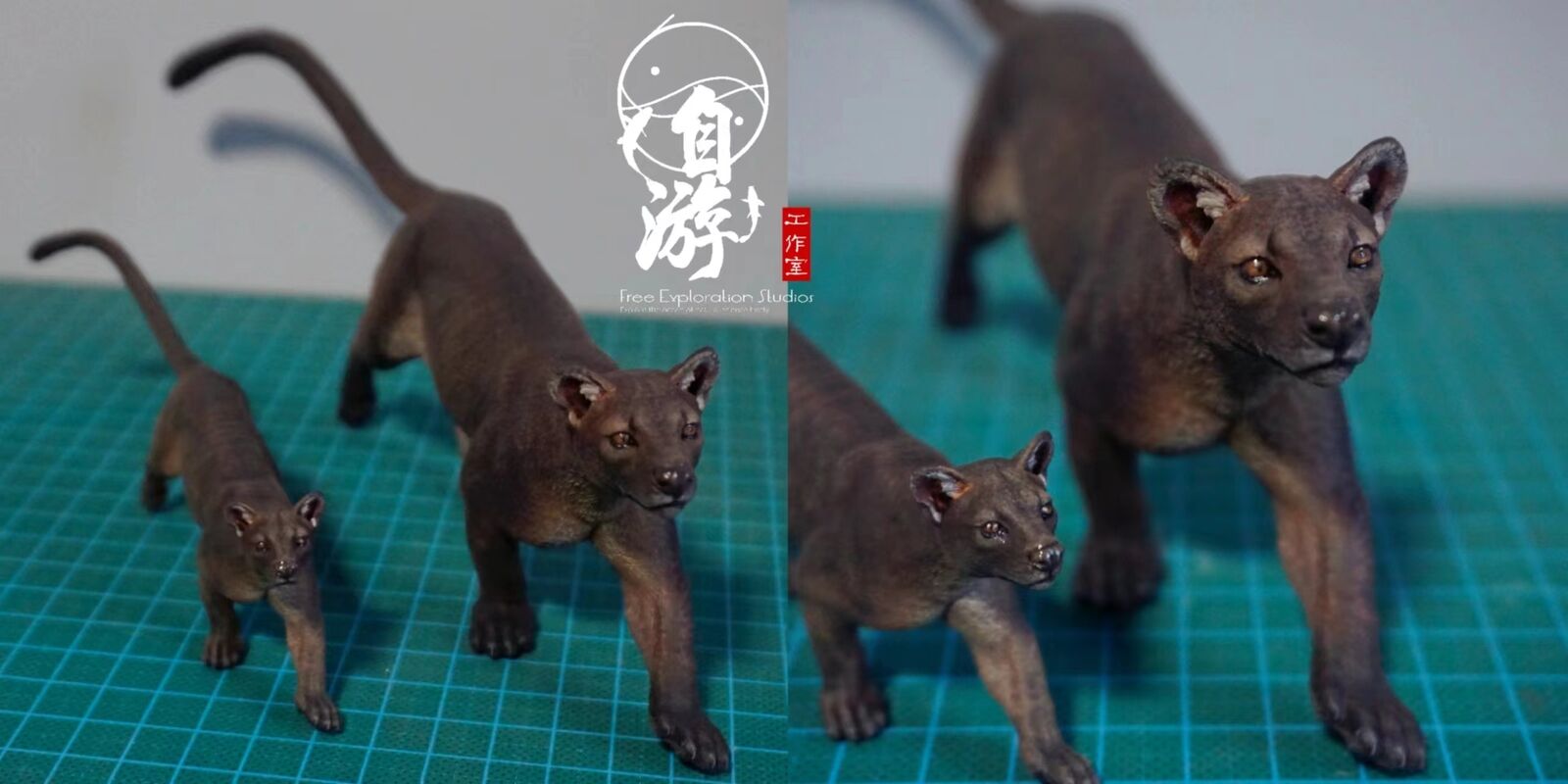 Free Exploration Fossa Model