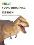 RECUR 1:35 Scale Tyrannosaurus Osborne Model