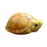 Animal Heavenly Body 19 Turtle Blind Box Model