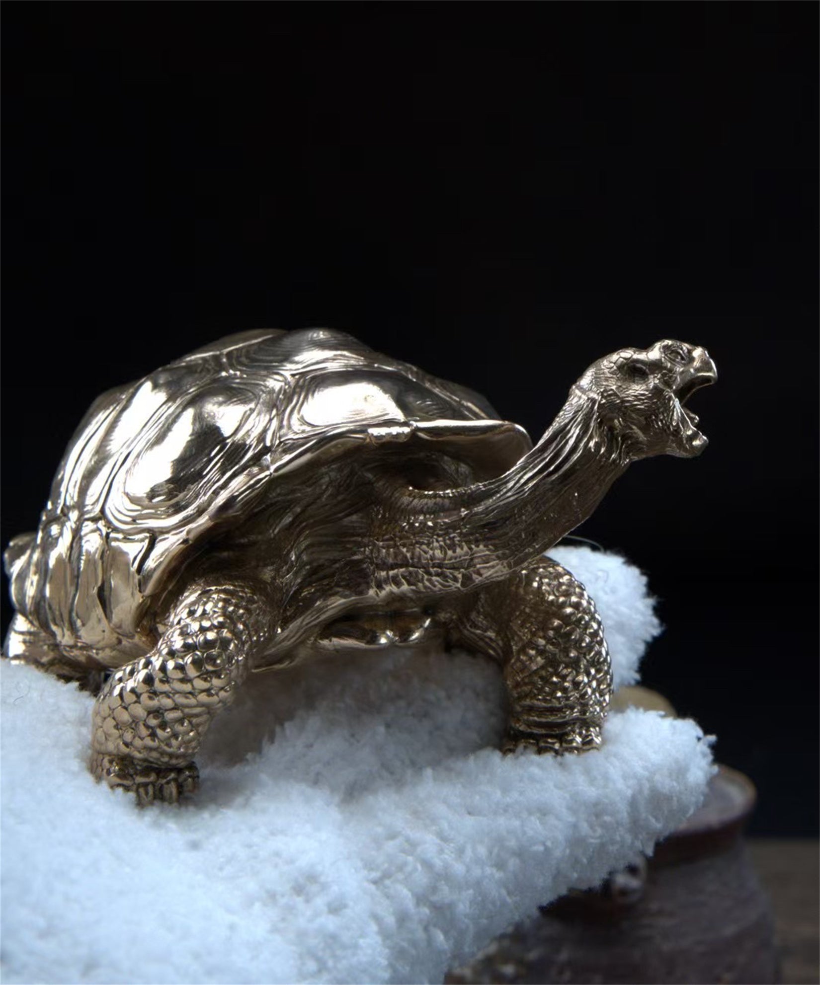 BOWUZHI Studio Chelonoidis Niger Model