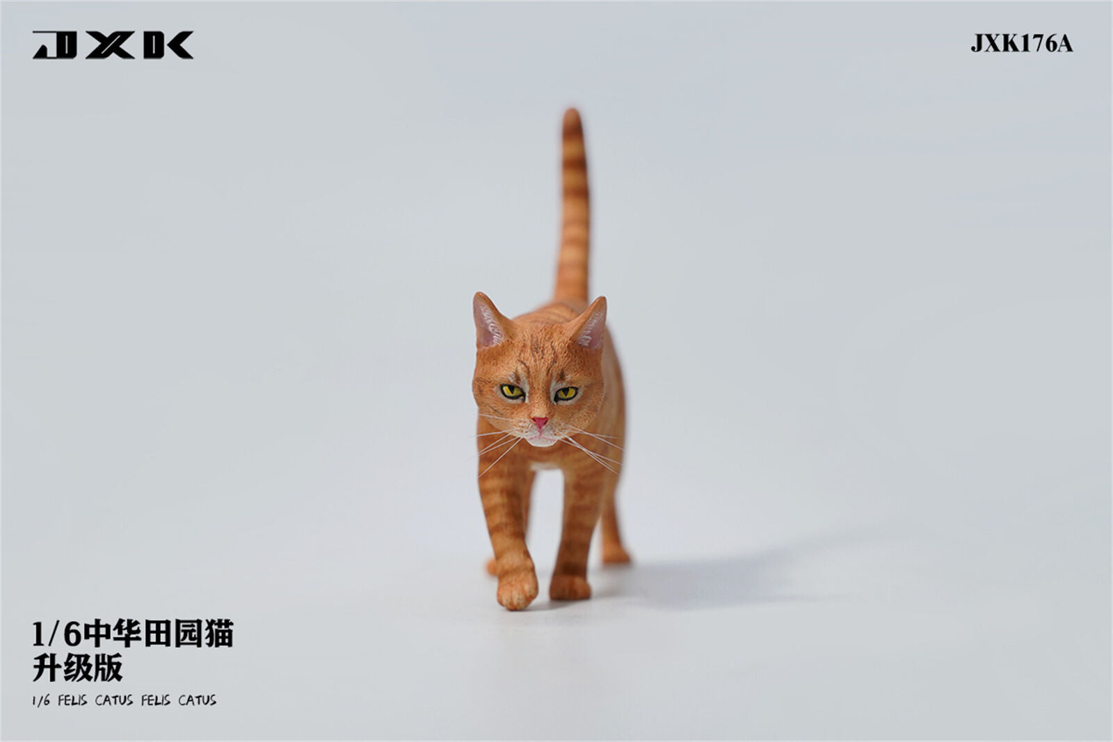 JXK 1/6 Felis catus Model