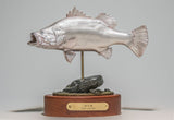 ZENITH STAR Studio 1:6 MONSTER AQUARIUM Barramundi Model