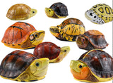 Animal Heavenly Body 19 Turtle Blind Box Model