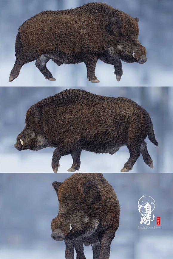 Free Exploration Wild Boar Model