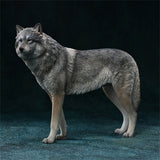 JXK 1/6 Arctic Wolf Model