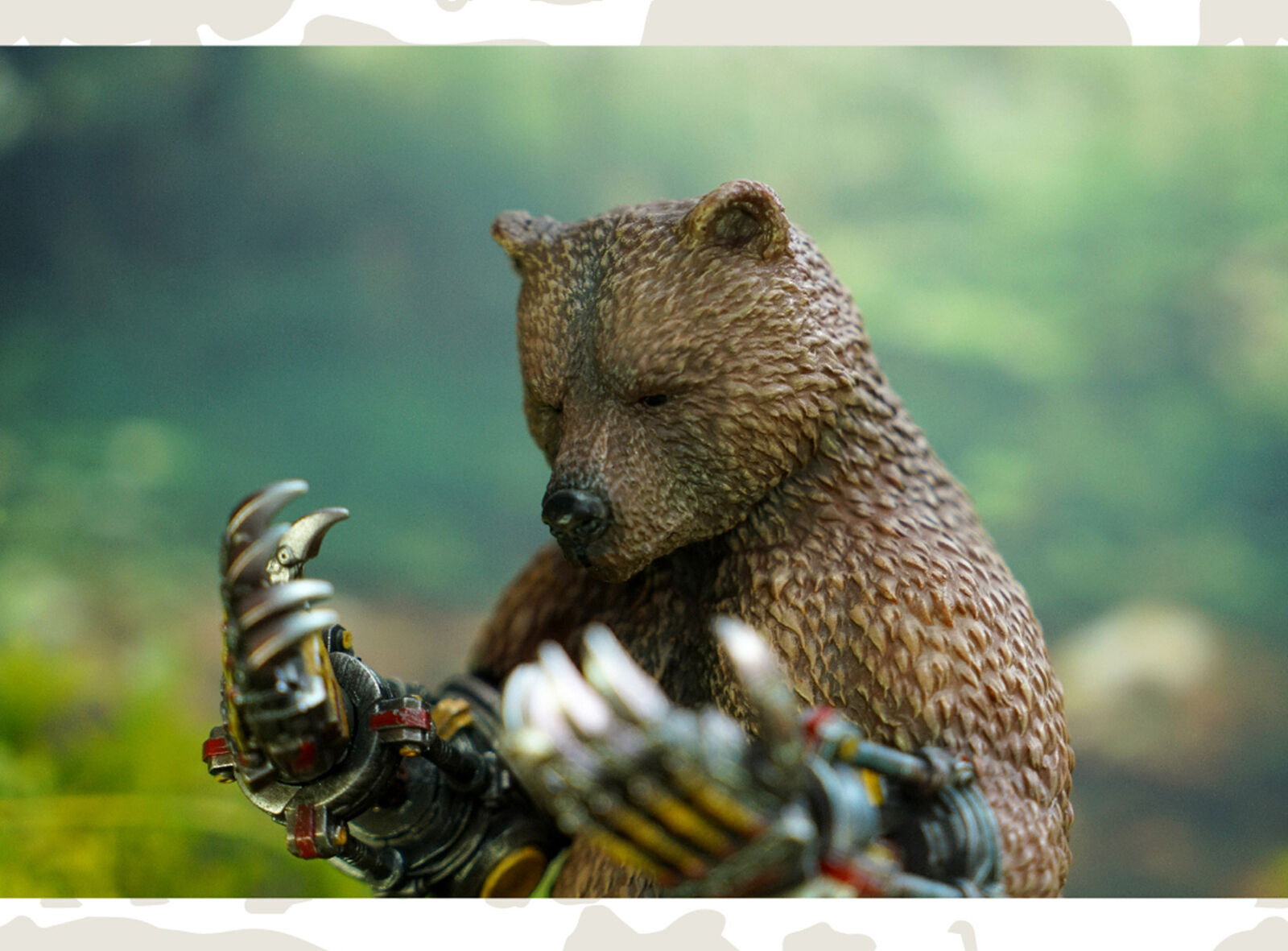 Animal Protection Act Studio Bear's Paw Model