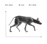 EVOLABORATORY 1/8 Wolf Muscle Anatomy Model