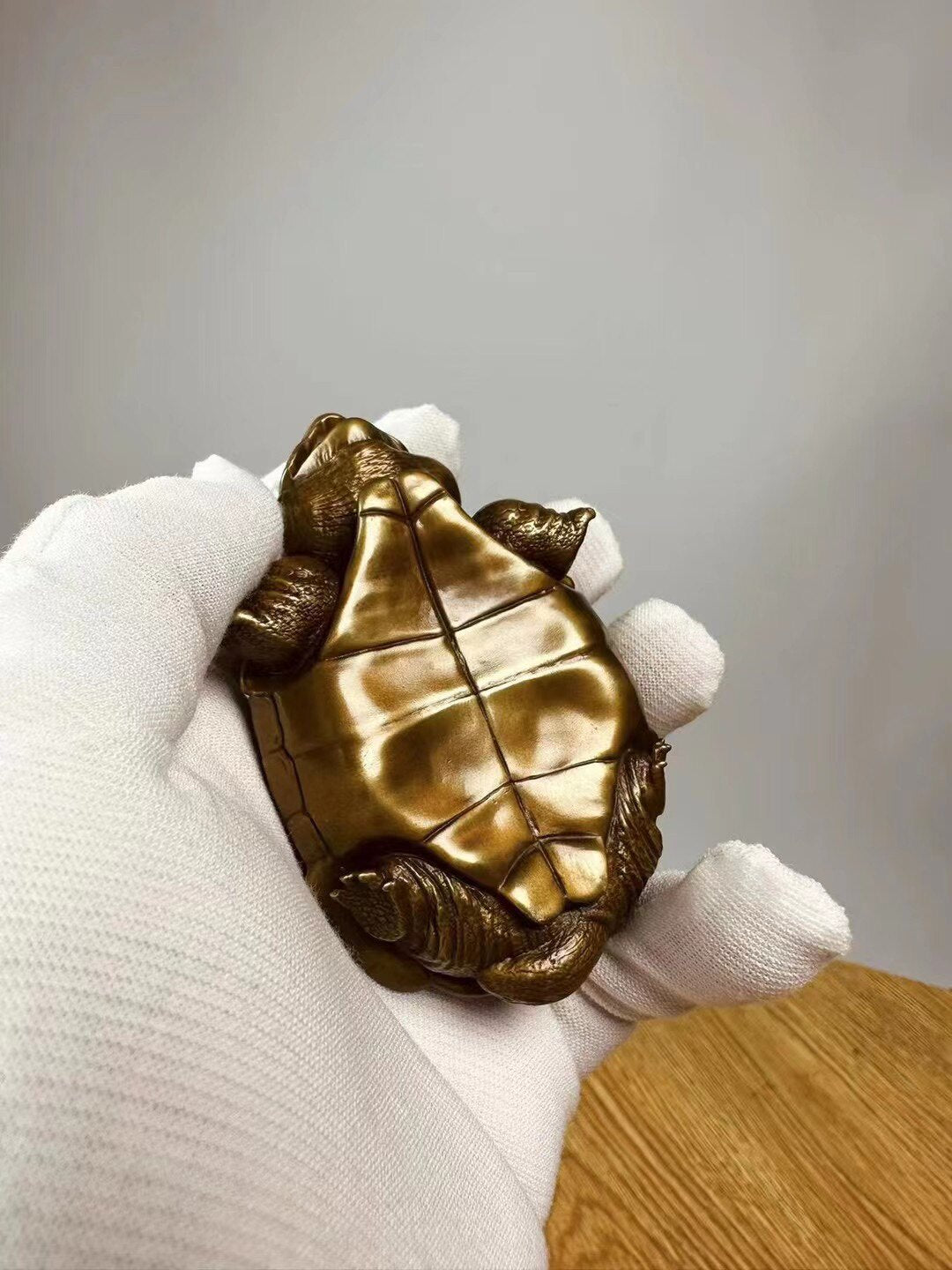 BOWUZHI Studio Galápagos Giant Tortoise Bronze Model