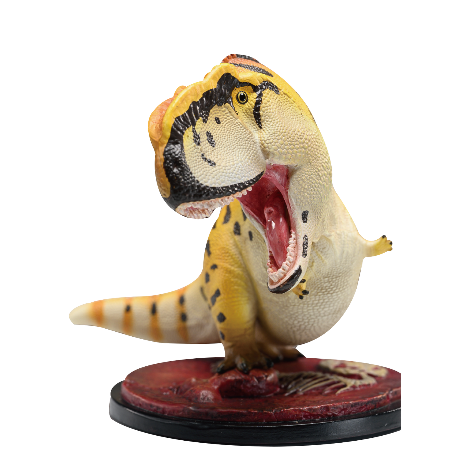 ANIMAL HEAVENLY BODY Yangchuanosaurus Model