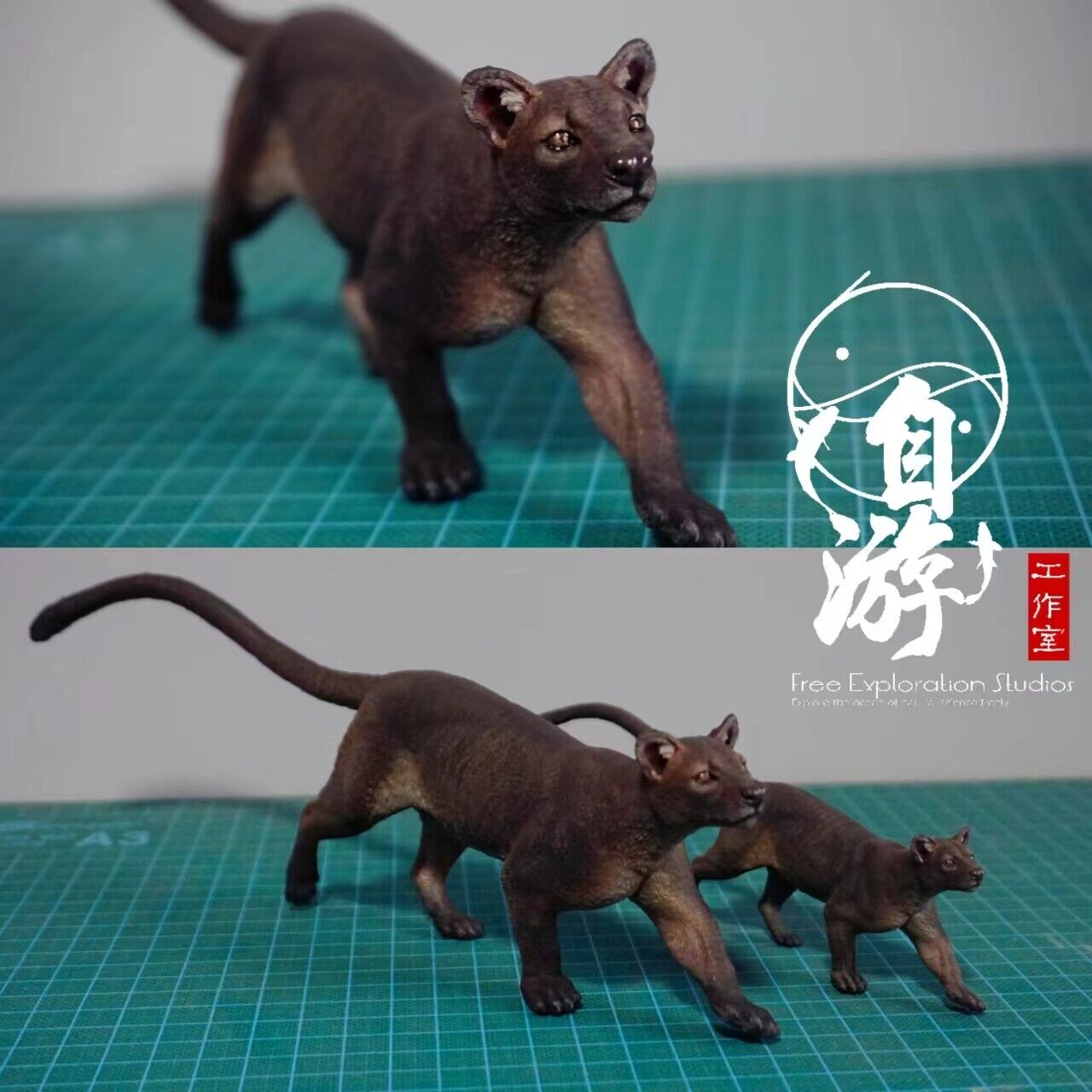 Free Exploration Fossa Model