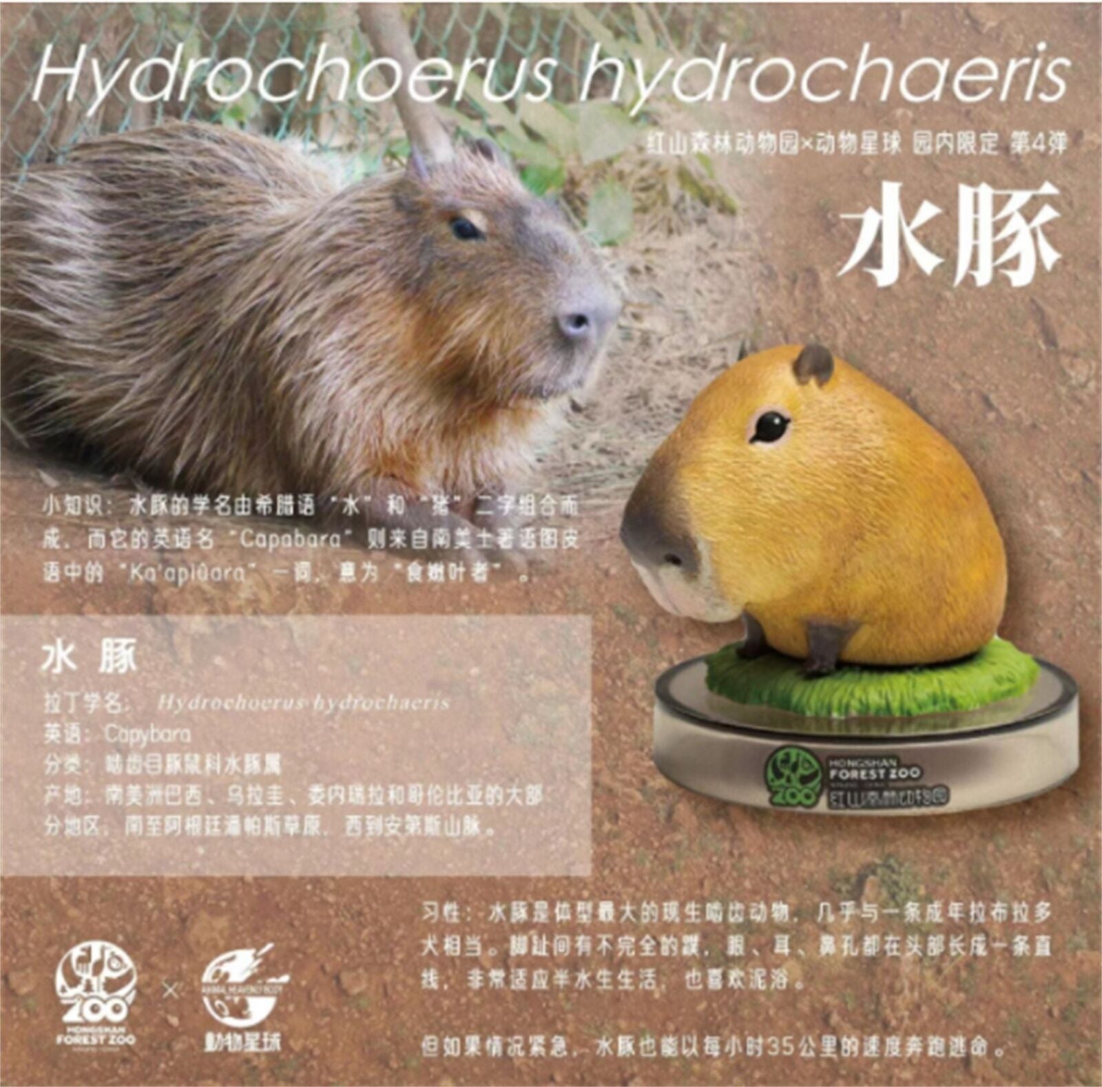 Hongshan Forest Zoo NO.4 Blind Box Model