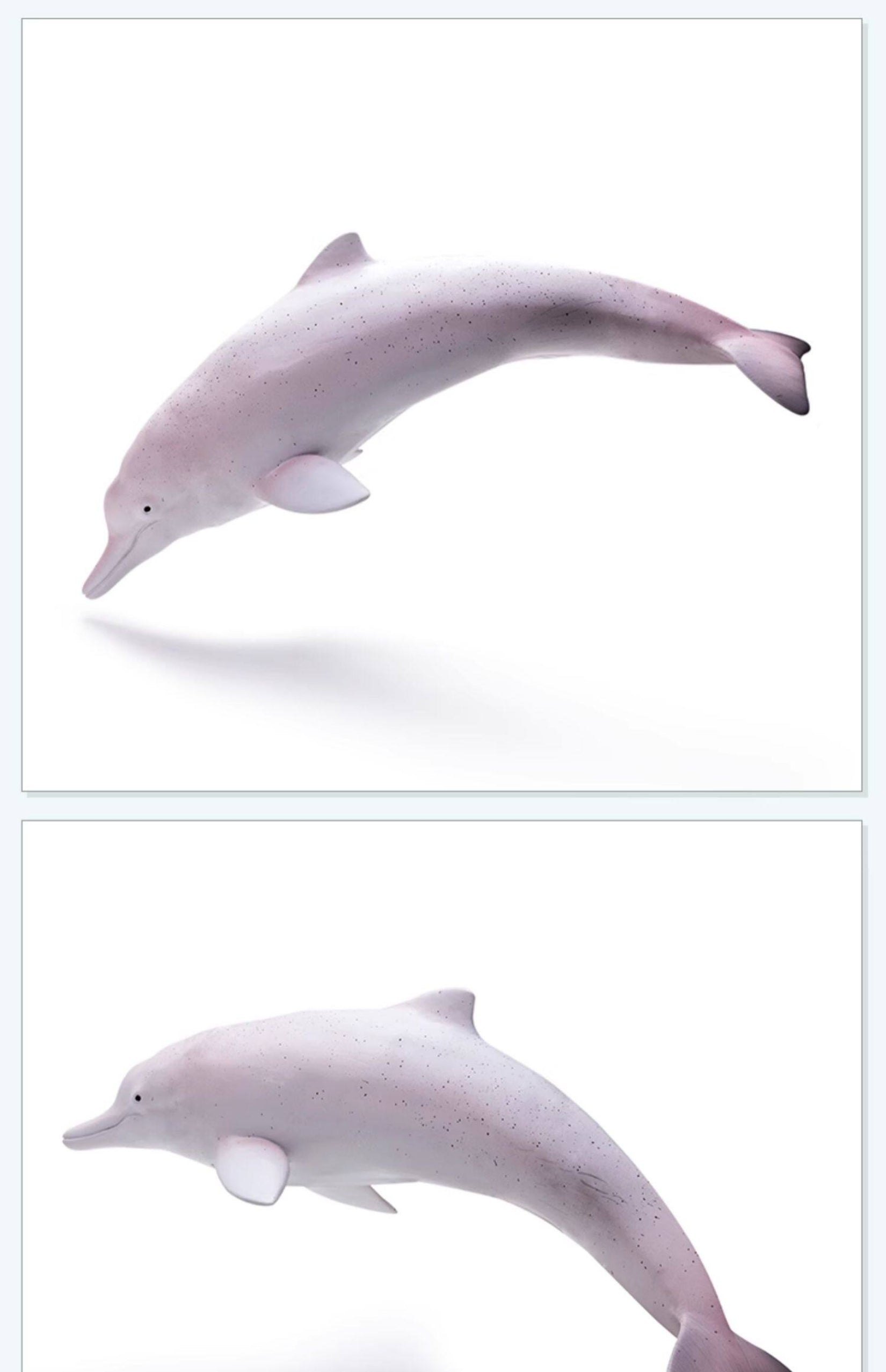 RECUR Dolphin Model Marine Animal