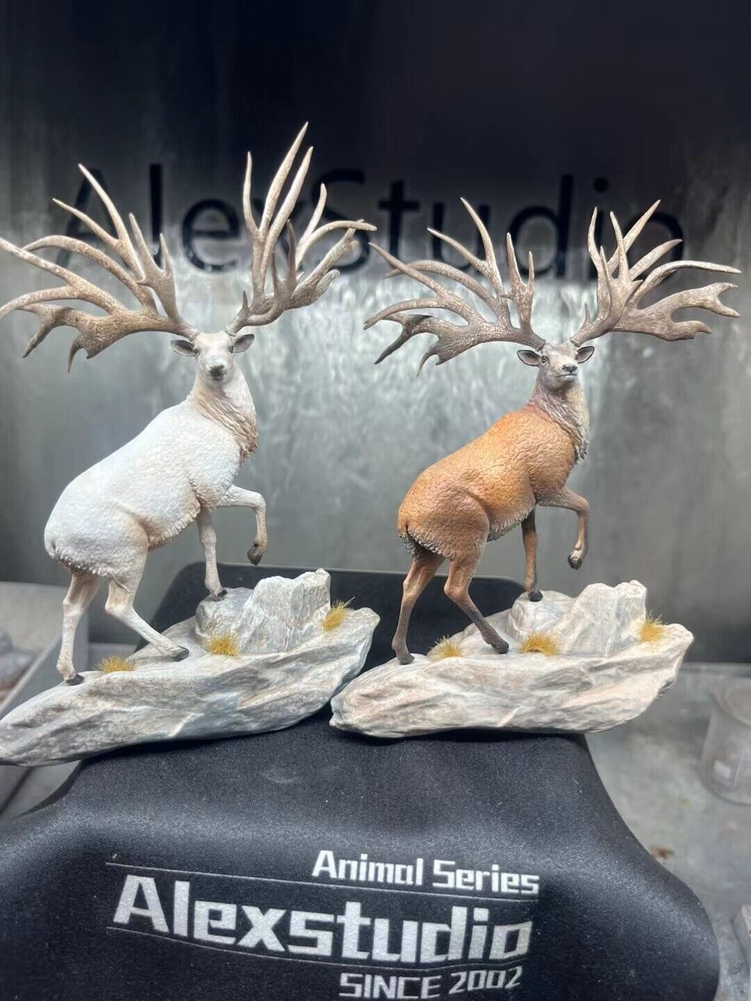 Alex Studio Eucladoceros Model