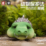 Animal Protection Act Studio Baby Crocodile Model