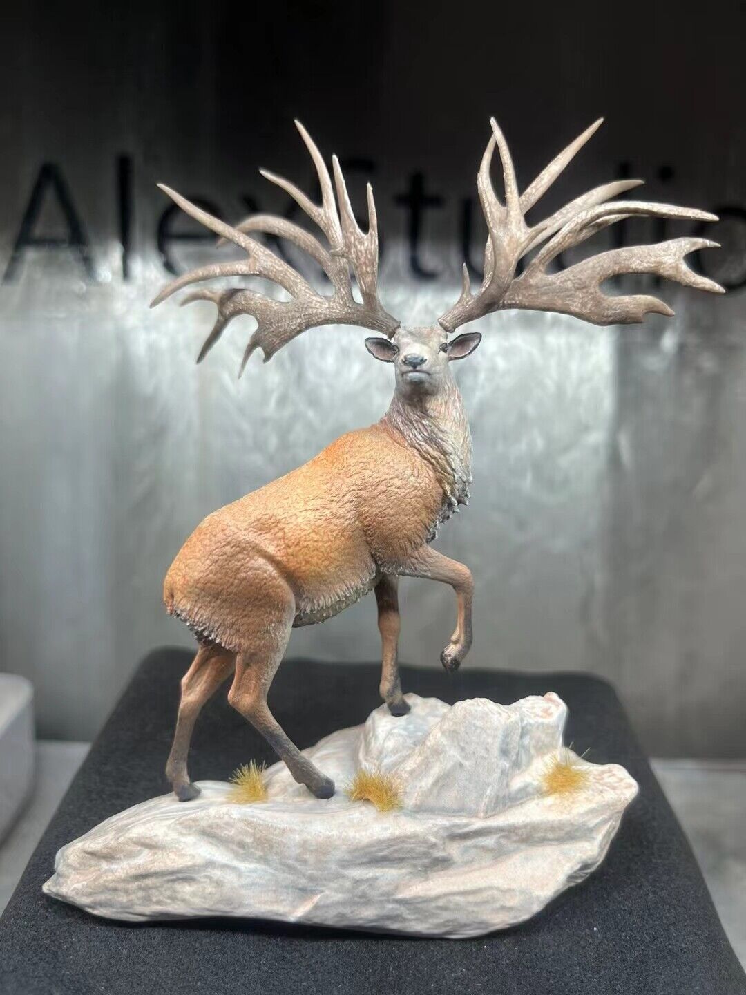 Alex Studio Eucladoceros Model