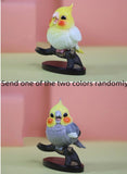 CG Parrot Blind Box 03 Series Model