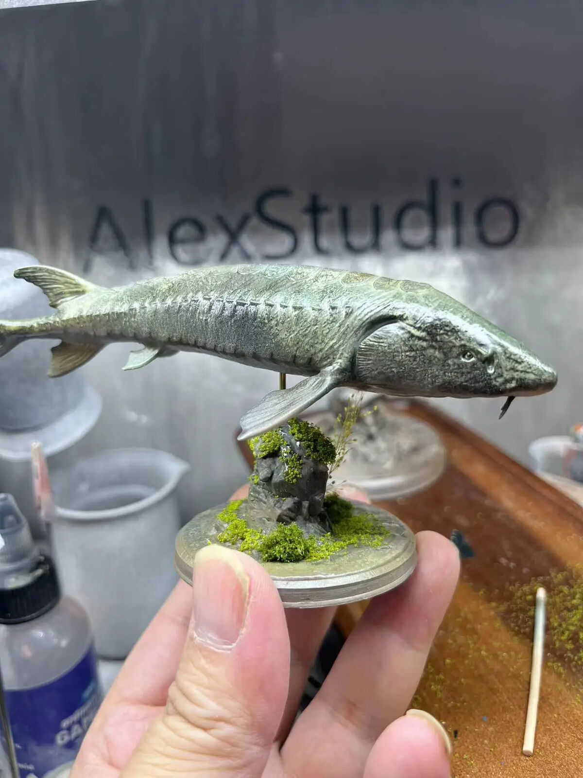 Alex Studio 1/35 Chinese Sturgeon Model