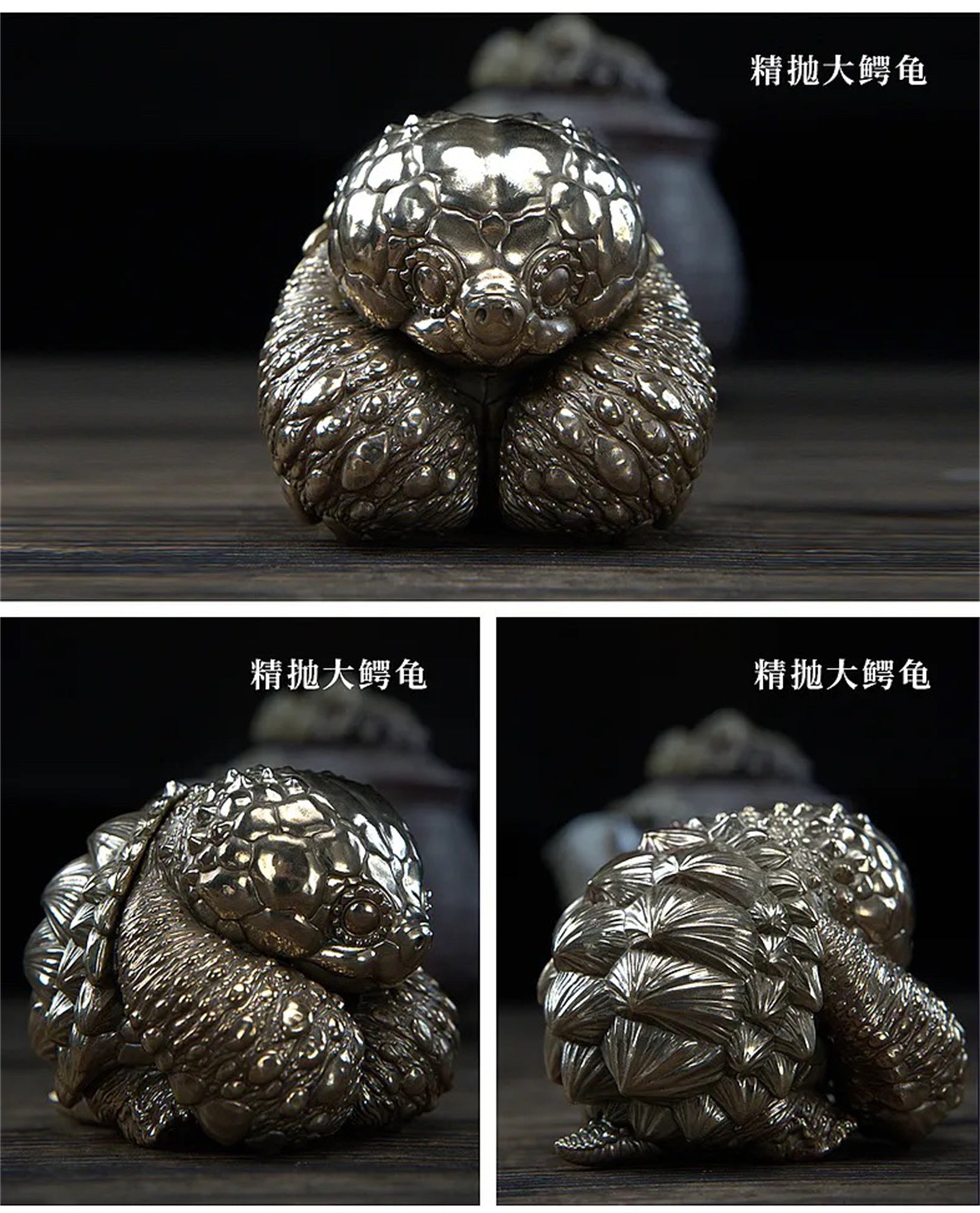BOWUZHI Studio Bronze Turtle Model