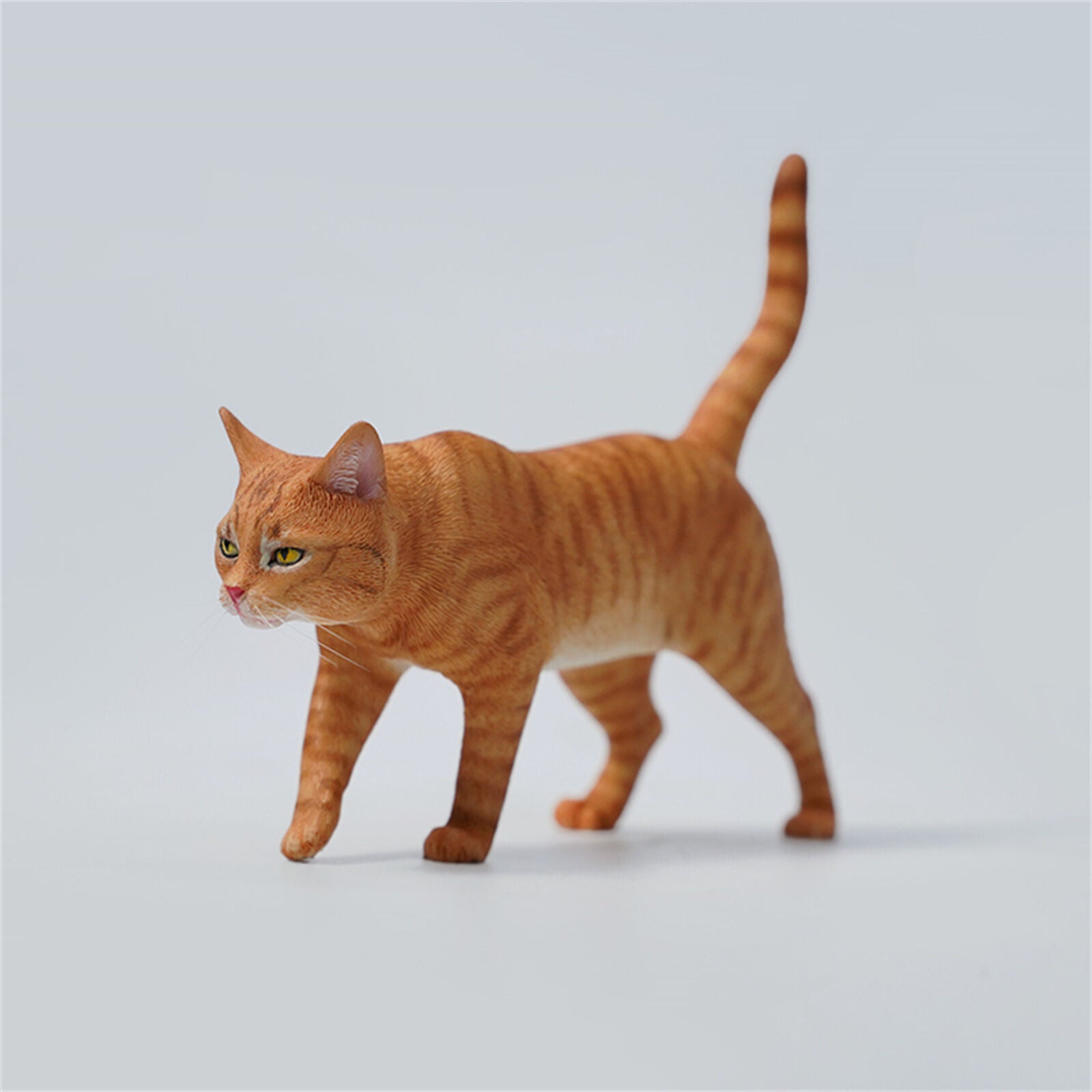 JXK 1/6 Felis catus Model