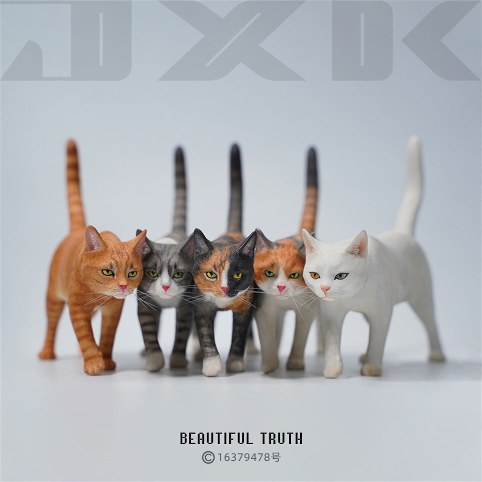 JXK 1/6 Felis catus Model