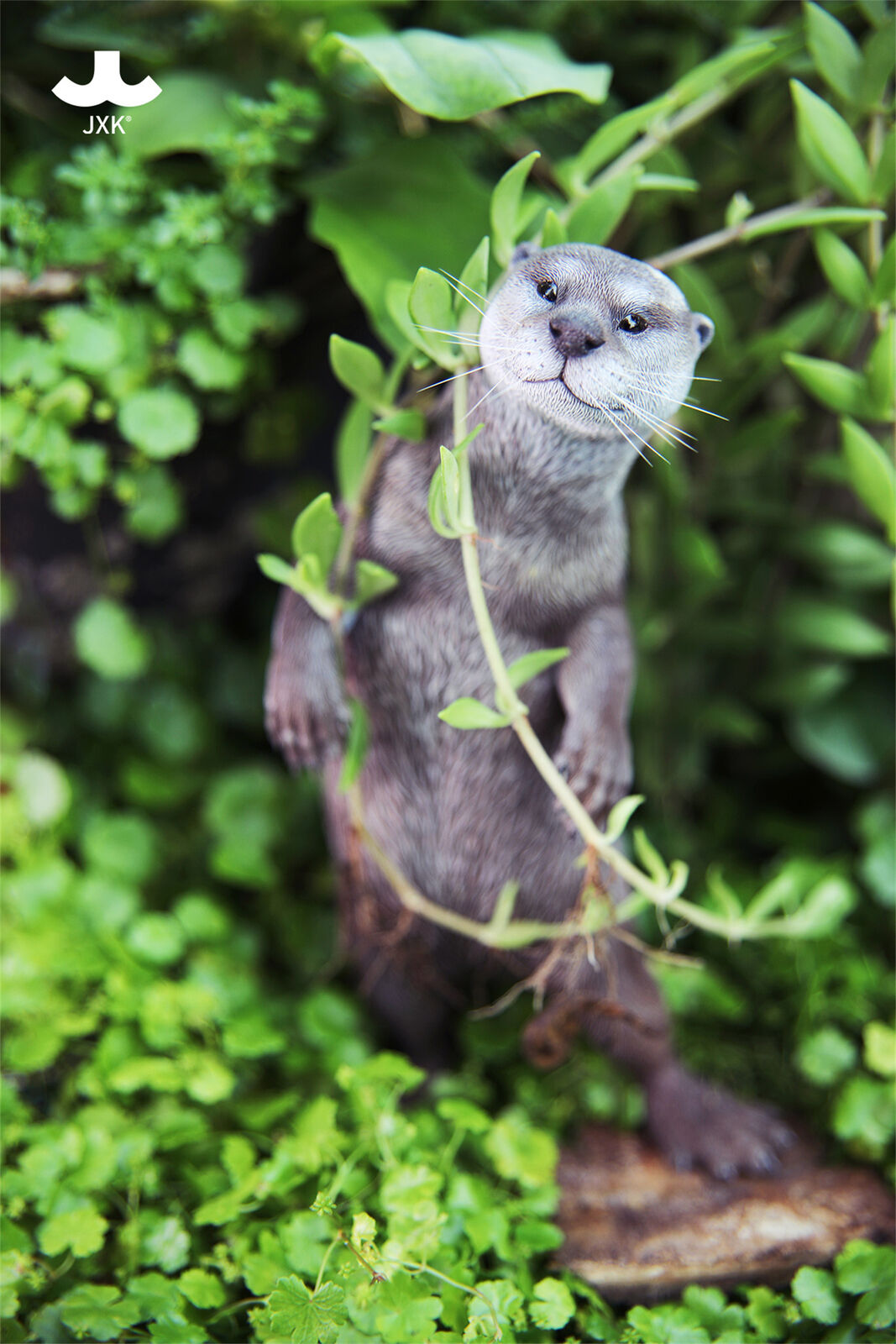 JXK 1/6 Eurasian River Otter Model