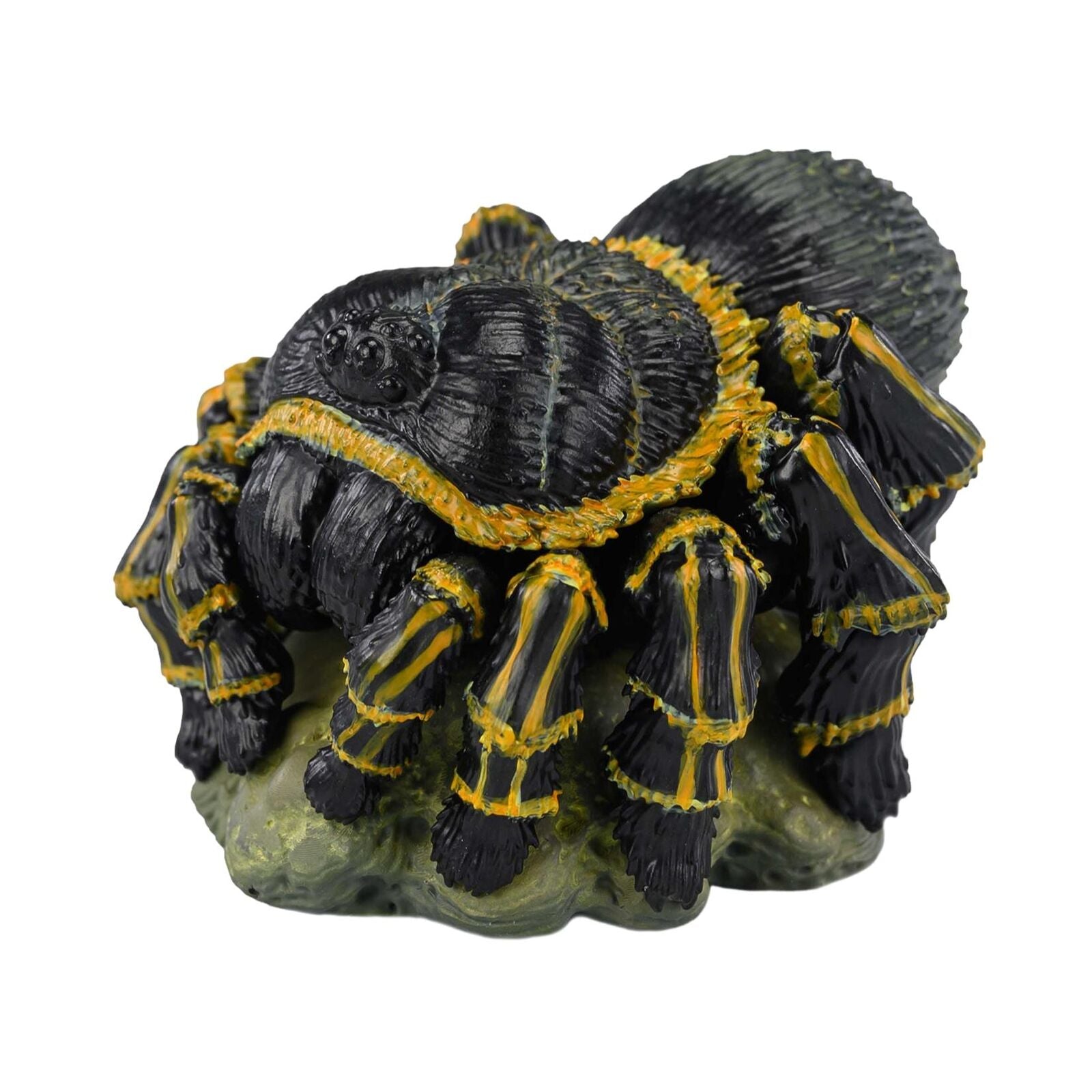 Animal Heavenly Body 17 Insect 3.0 Blind Box Model