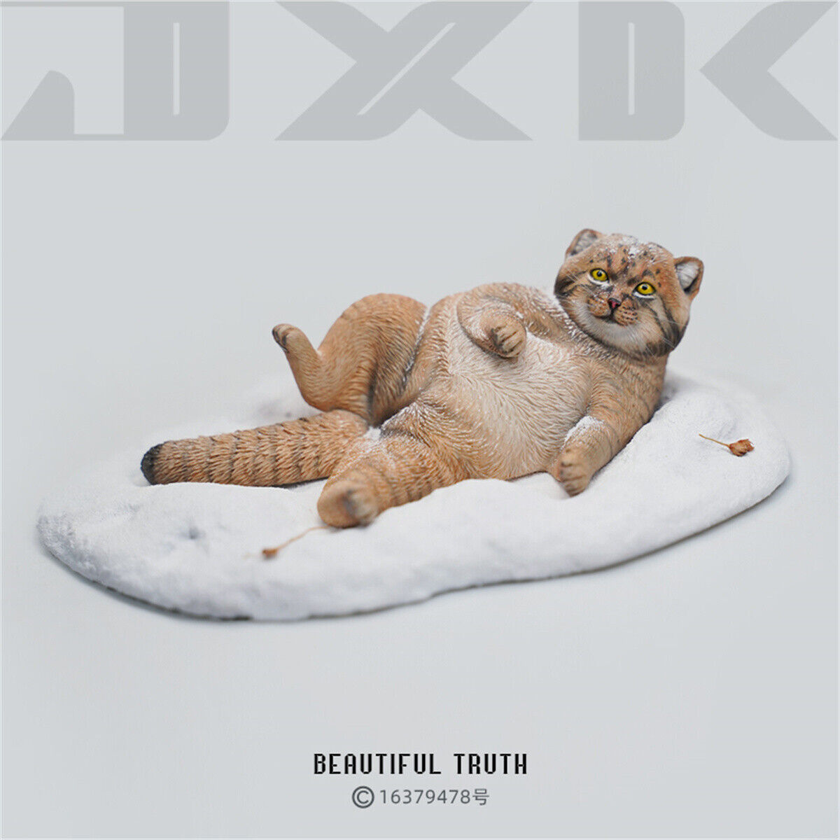 JXK 1/6 Pallas's Cat Model