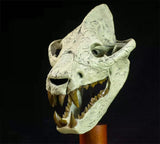 VWUVWU Megistotherium Skull Model