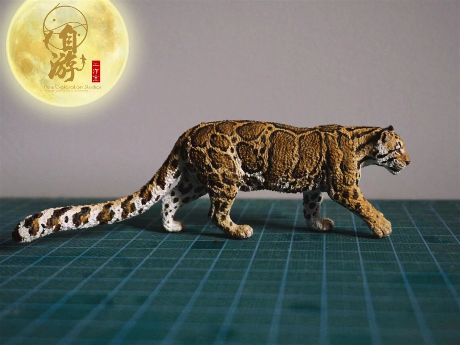 Free Exploration Clouded Leopard Model