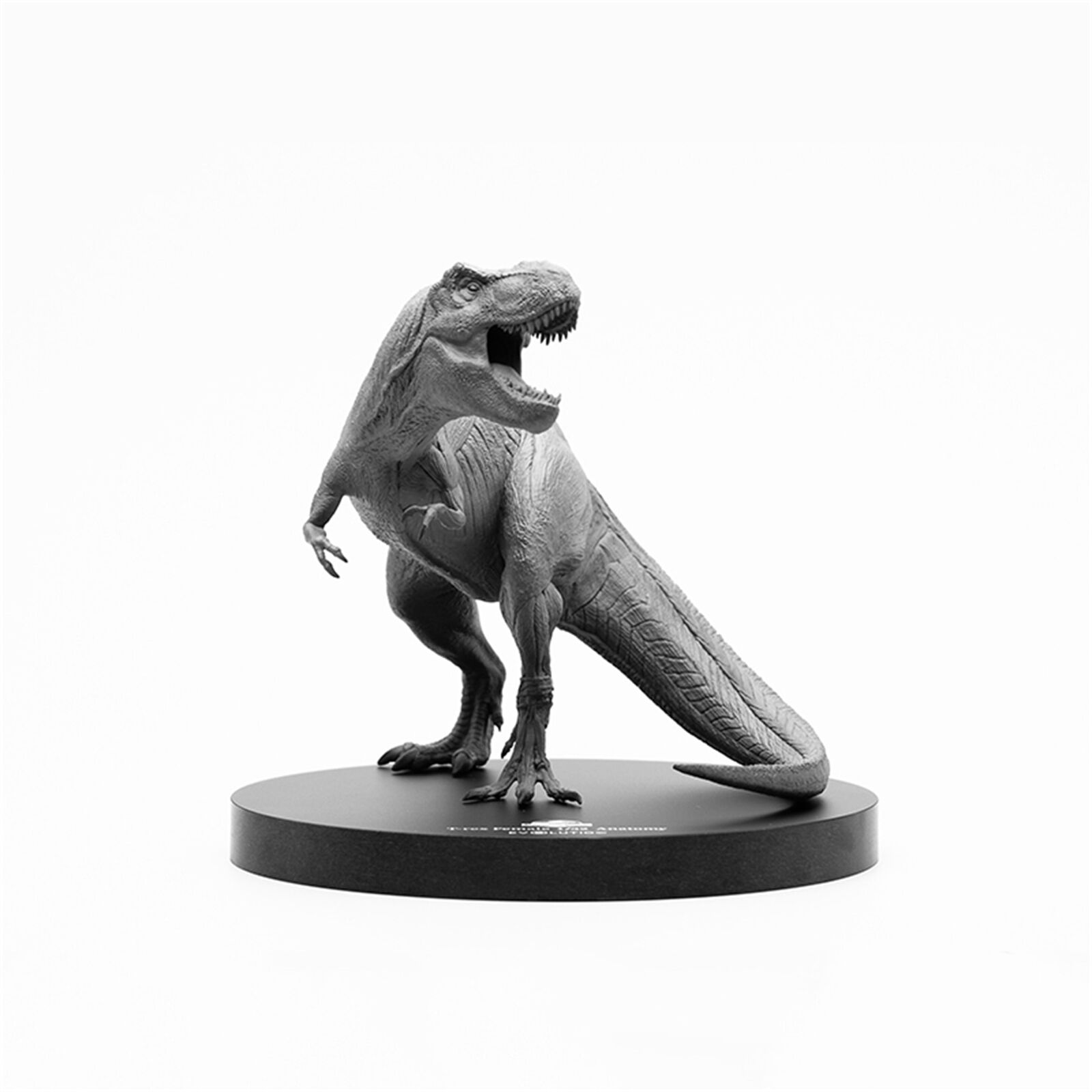 EVOLABORATORY 1/32 Muscle Anatomy T-Rex Model