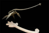 VWUVWU Elasmosaurus Platyurus Skeleton Model