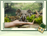 Animal Protection Act Studio Baby Elephant Model