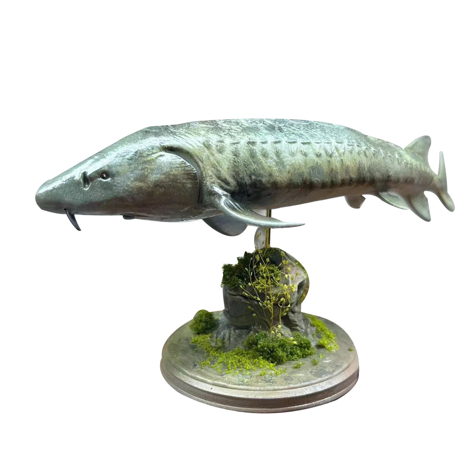 Alex Studio 1/35 Chinese Sturgeon Model