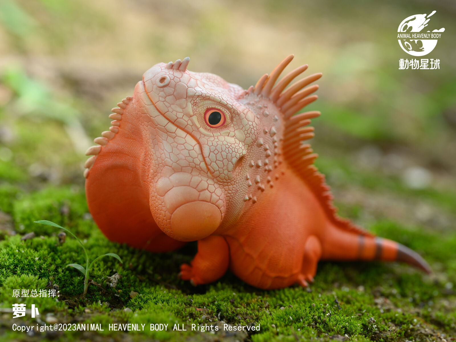 Animal Planet 16 Lizard Blind Box Model