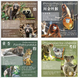 Hongshan Forest Zoo NO.2 Blind Box Model