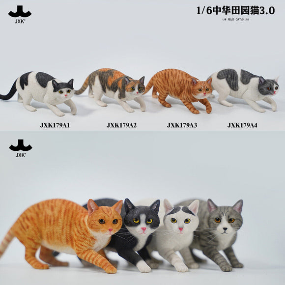 JXK 1/6 Chinese Garden Cat 3.0 Model