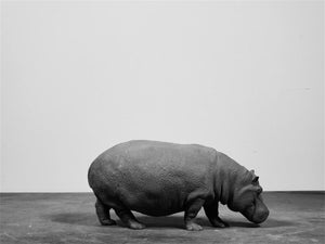 TUNAN 1/18 Hippopotamus Model