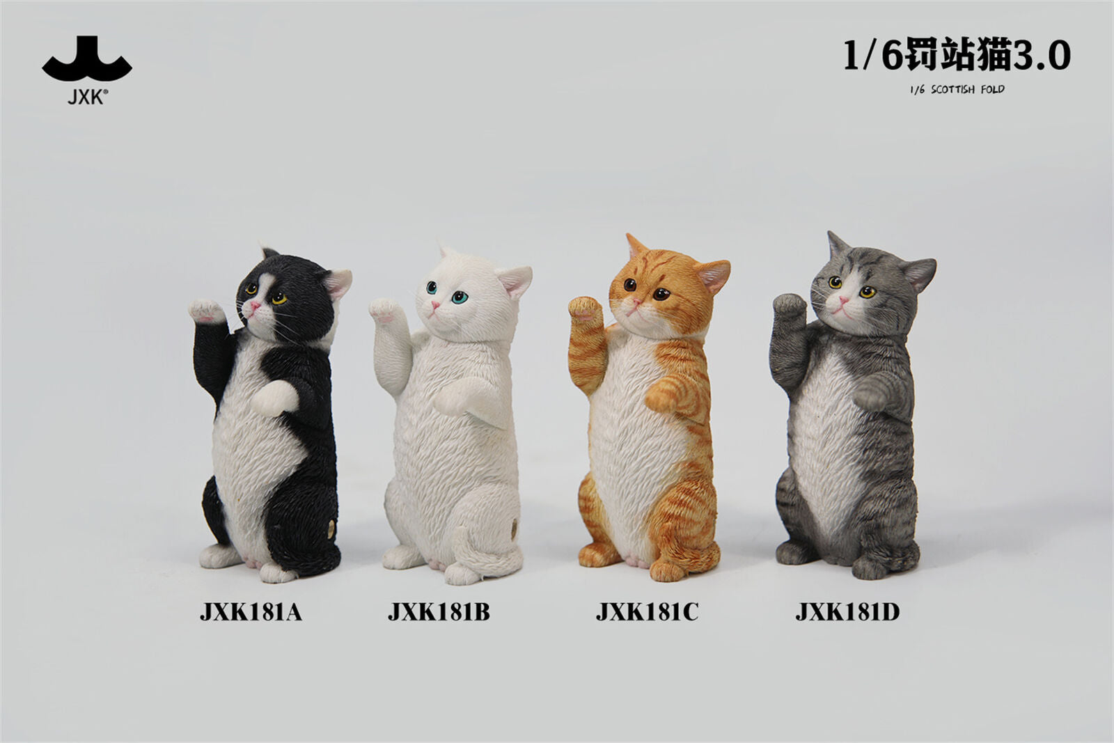 JXK 1/6 Scottish Fold Cat 3.0 Model