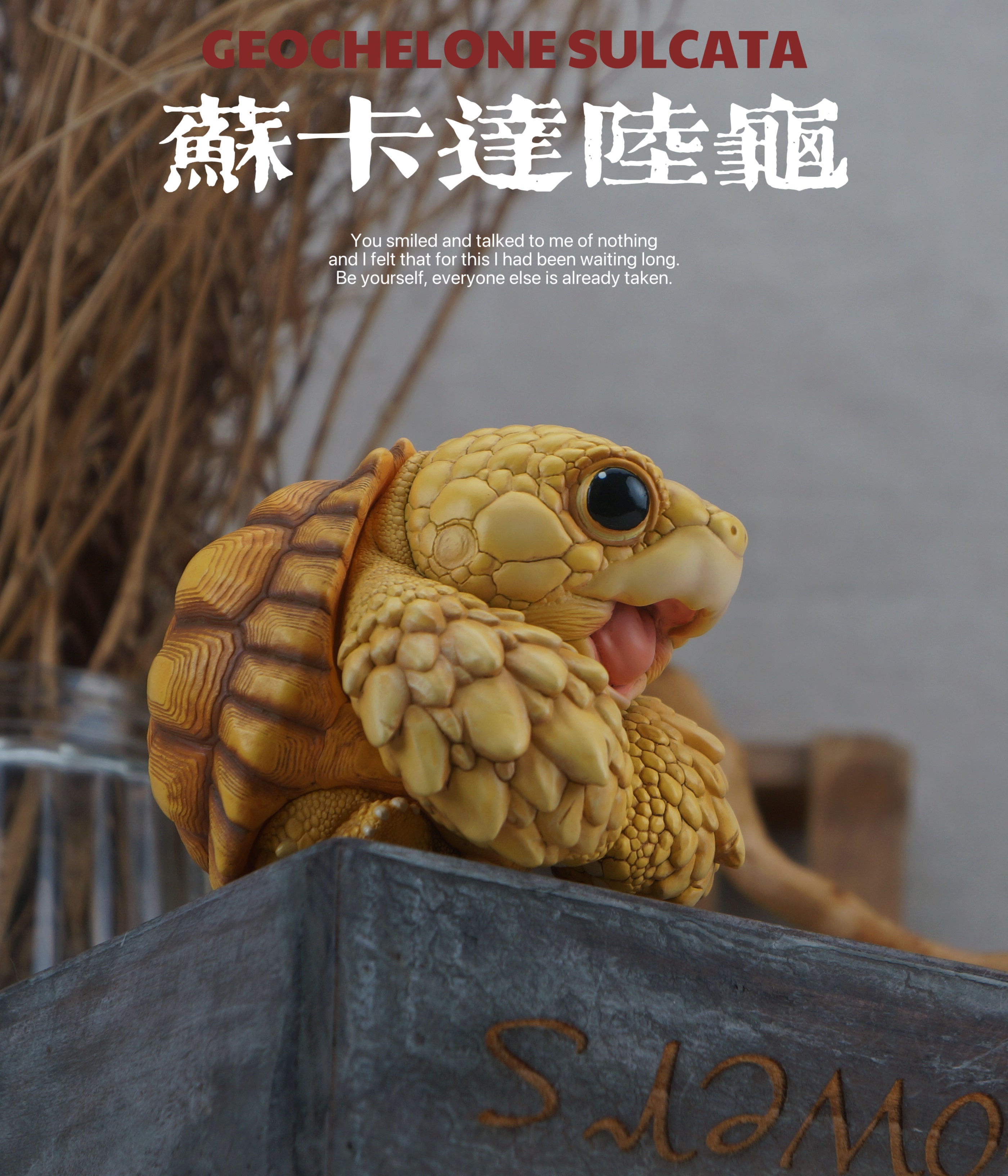 Turtle Model Pet Animal Figure