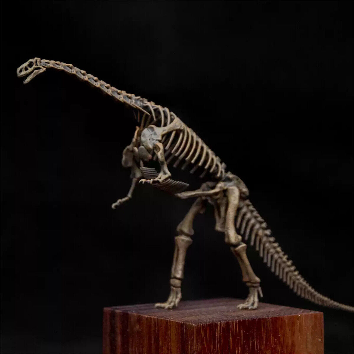 1/35 Lufengosaurus Skeleton Model – Lana Time Shop