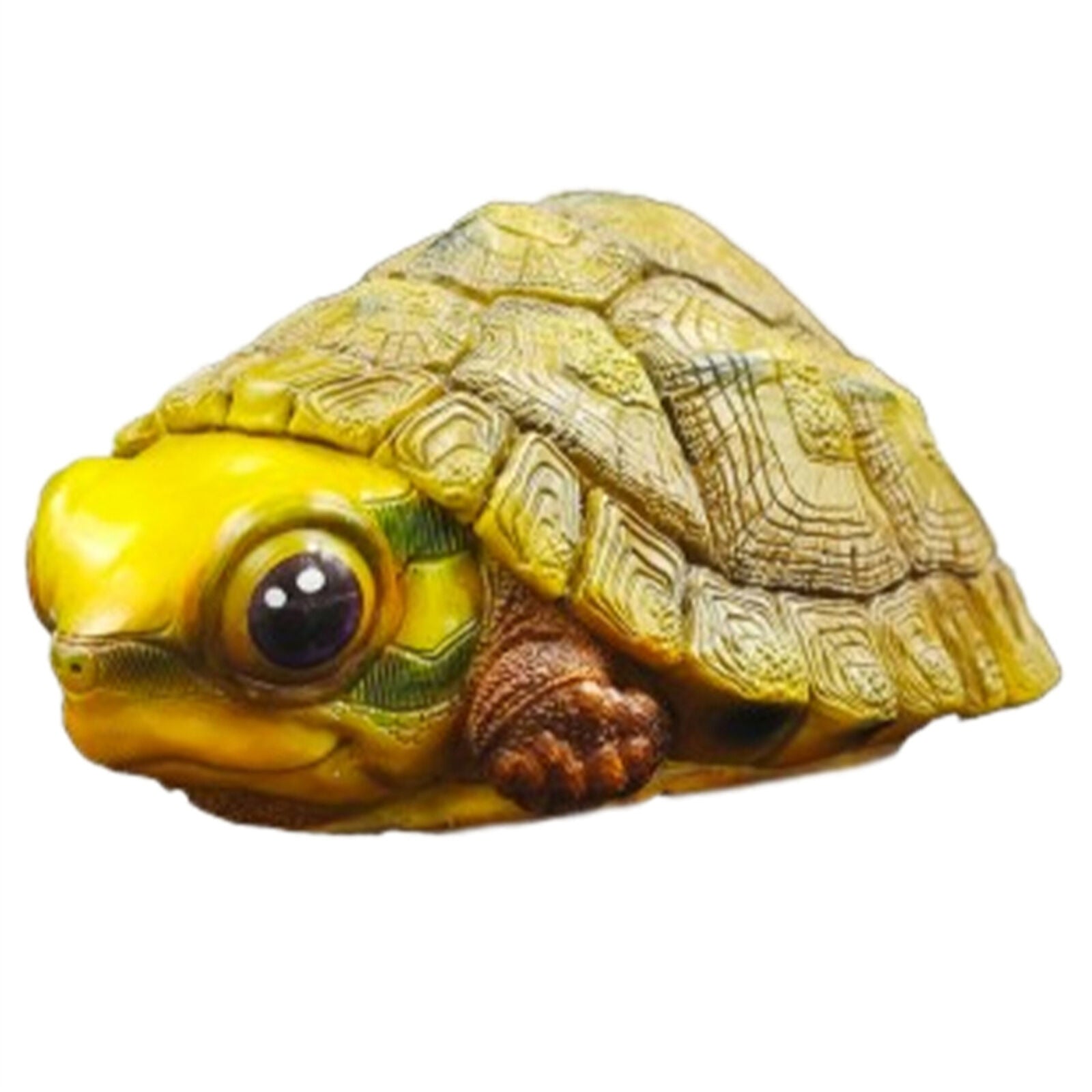 Cuora trifasciata Model